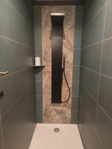 a bathroom with a shower with a toilet in it at obonheurdu paon in Arques
