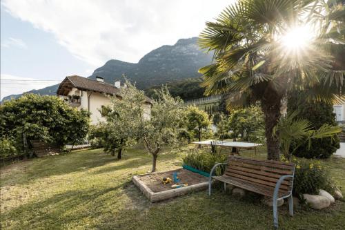 a park bench in a yard with a palm tree at Apartments Hofgarten in Caldaro