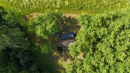 MARINGOTKA na PALOUKU