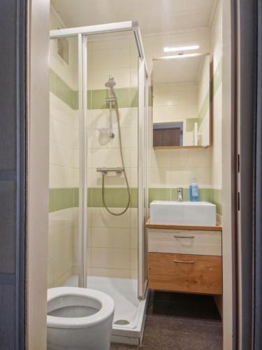 a bathroom with a shower and a toilet and a sink at CityApt Wolfik Stockerau in Stockerau