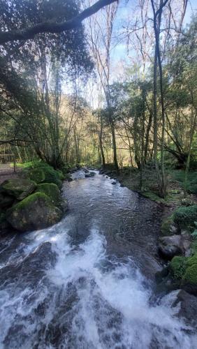 a stream of water with rapids in a forest at Welcome Douro - Eco Camping Resort in Cinfães