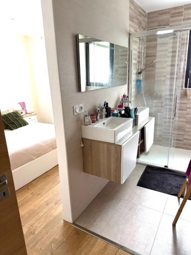 une salle de bain avec un lavabo blanc et une douche dans l'établissement Villa 3 faces avec piscine, à Ponteilla