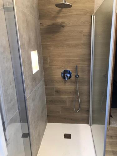 a shower with a glass door in a bathroom at Ferienwohnungen Sponchie in Lazise