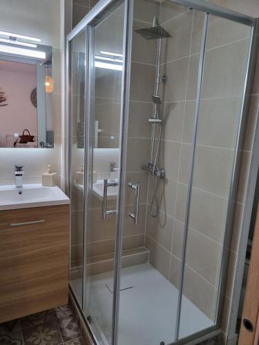 une salle de bain avec une douche en verre et un lavabo dans l'établissement Appartement 400m de la mer, à Dolus-d'Oléron
