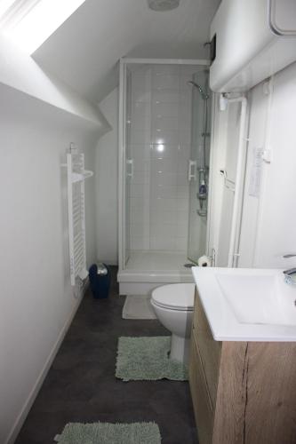 a bathroom with a sink and a toilet and a shower at La Gâtinaise in Châtillon-Coligny