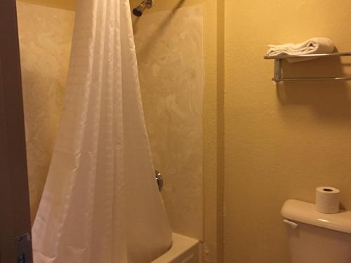 a bathroom with a shower with a white shower curtain at First Western Inn - Fairmont City in Fairmont City