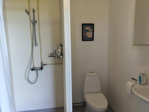a bathroom with a shower and a toilet and a sink at Hytte med udsigt til Stege Nor in Stege