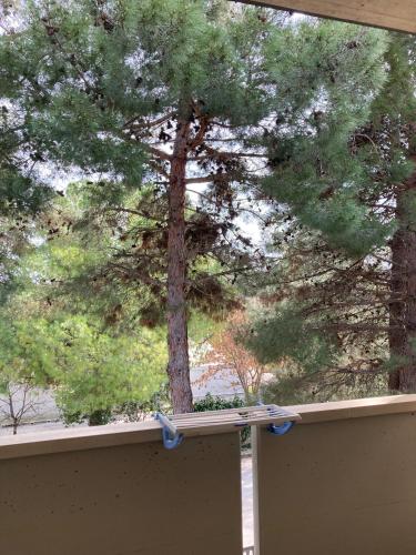 a view of a tree from a window with bows at Meris affittacamere in Monsano