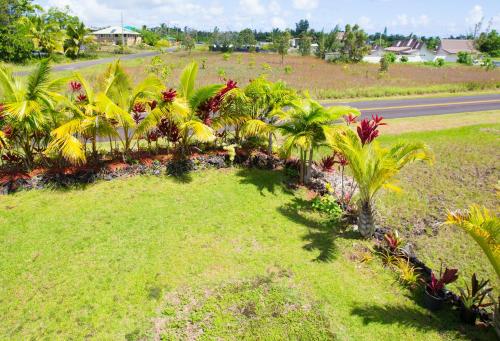 a lawn with palm trees and flowers next to a road at Coconut Palms Vacation Rental near lava fields and beaches in Kehena