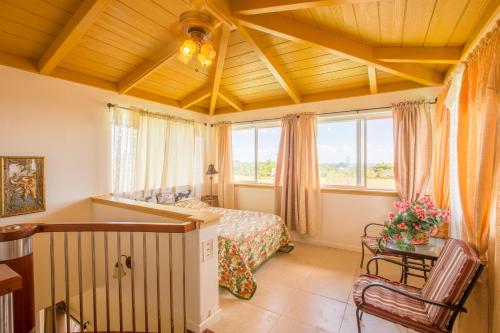 Gallery image of Coconut Palms Vacation Rental near lava fields and beaches in Kehena