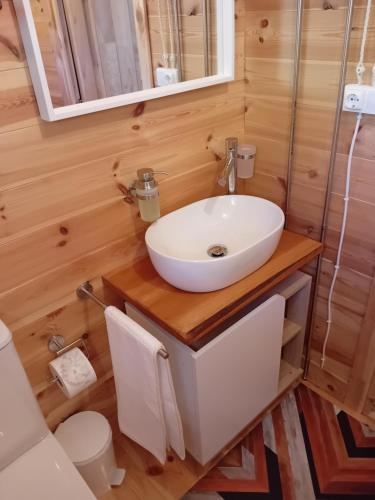 a bathroom with a sink in a tiny house at Cabaña Ikizen II in Barbadillo del Pez