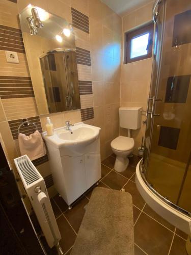 a bathroom with a sink and a toilet and a shower at Gyopár Panzió & Kulcsoház in Izvoru Mureşului