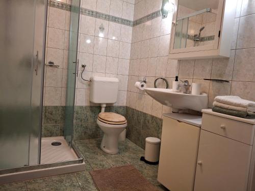 a bathroom with a toilet and a sink and a shower at Prenočišče Breza in Radovljica