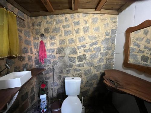 a bathroom with a toilet and a stone wall at Chácara portal do dragão casa completa para 6 pax in Paraty