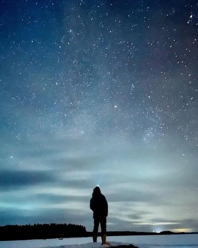 a person standing in the snow under a starry sky at Haven Islands Treehouse on a private island in Torrflonäs