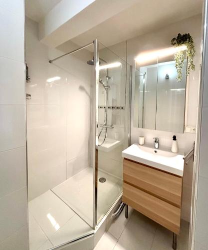 une salle de bain avec douche et lavabo dans l'établissement Le St-Arnould - Vue Cathédrale, central & calme, à Metz