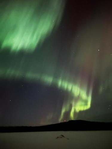 an image of the northern lights in the sky at Haven Islands Treehouse on a private island in Torrflonäs