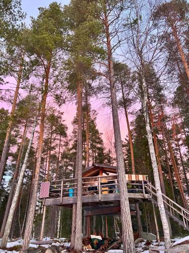 a tree house in the middle of some trees at Haven Islands Treehouse on a private island in Torrflonäs