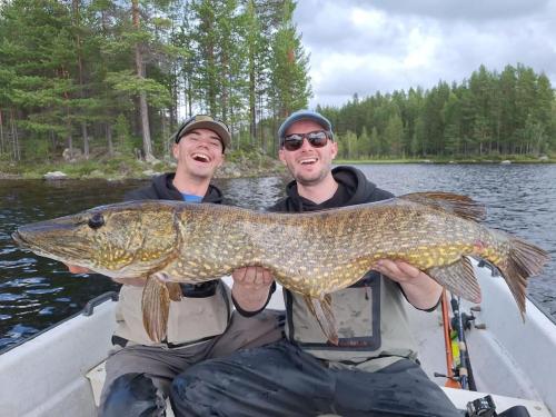two men in a boat with a large fish at Haven Islands Treehouse on a private island in Torrflonäs