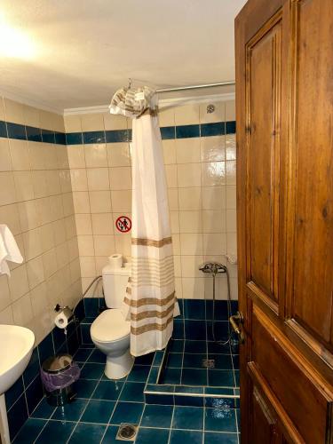 a bathroom with a toilet and a sink at Saint George Apartments II & III in Kalavrita