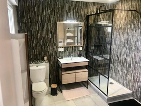 une salle de bain avec une douche, des toilettes et un lavabo dans l'établissement maison entiére, à La Celle-sous-Gouzon