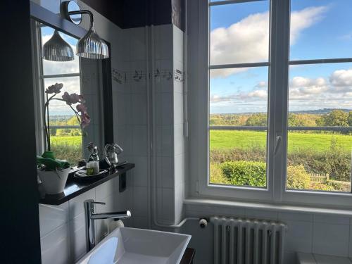 une salle de bain avec un lavabo et une fenêtre dans l'établissement La villa des 3, à Tamerville