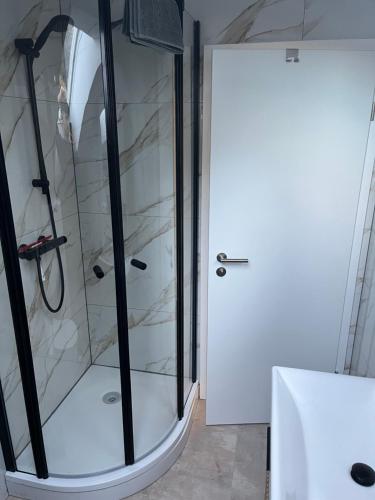 a shower with a glass door in a bathroom at Mevan Ferienwohnung in Gaienhofen