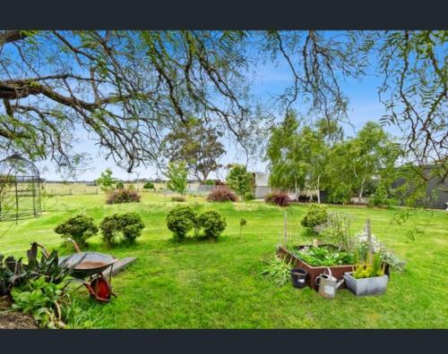 a garden with several plants in a field at SANDHU farmhouse in Moolap