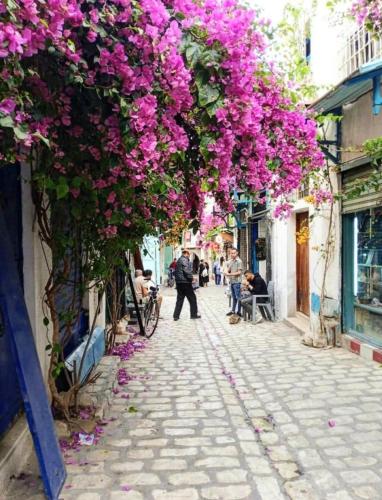a street with pink flowers hanging from a building at Dar Maram Tunis in Tunis