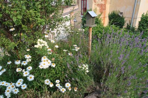 a garden with white and purple flowers and a bird house at apartmán Port Arthur in Manětín
