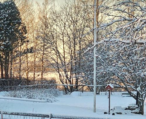 a snow covered park with trees and a street light at Carelian Pearl - house in Ilomantsi, Eastern Finland in Ilomantsi