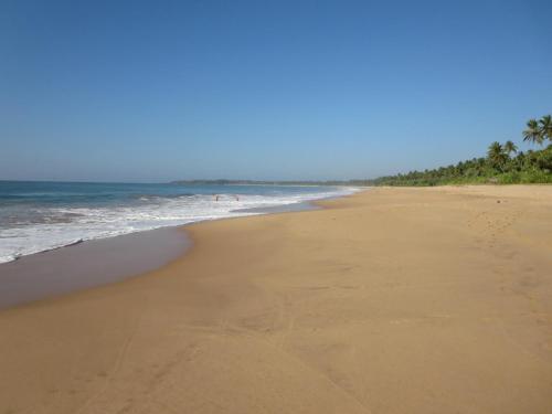 an empty beach with palm trees in the ocean at Lanka Beach Boutique Bungalows & Grand Villa in Tangalle