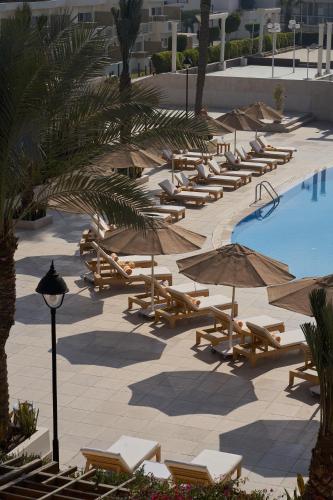 a row of lounge chairs and umbrellas next to a swimming pool at Pyramids Park Resort Cairo in Cairo