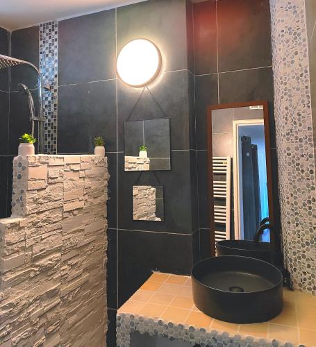 une salle de bain avec un lavabo et un miroir dans l'établissement Appartement Avignon 3 Chambres, à Avignon