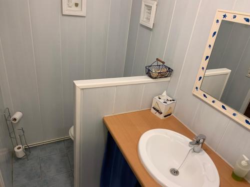 une salle de bain avec un lavabo et un miroir dans l'établissement Mas d'Ambayrac chambres d'hôte Le bolet, à Promilhanes