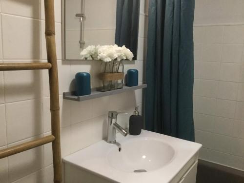 La salle de bains est pourvue d'un lavabo et d'un rideau de douche bleu. dans l'établissement Echappèe belle en bord de mer, à Cagnes-sur-Mer