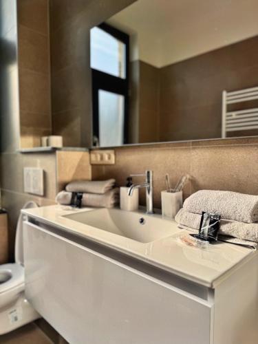 a bathroom with a white sink and a mirror at Bora Apartment in Brussels