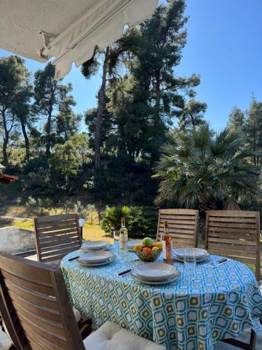 Villa ELANI Chalkidiki near to the sea