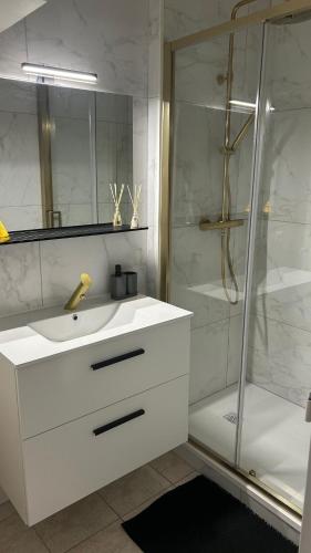 une salle de bain avec un lavabo blanc et une douche dans l'établissement Le Casanova, à Toulouse