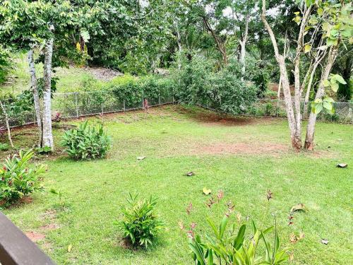 a yard with a fence and some trees and grass at Casa Morpho in Zancudo