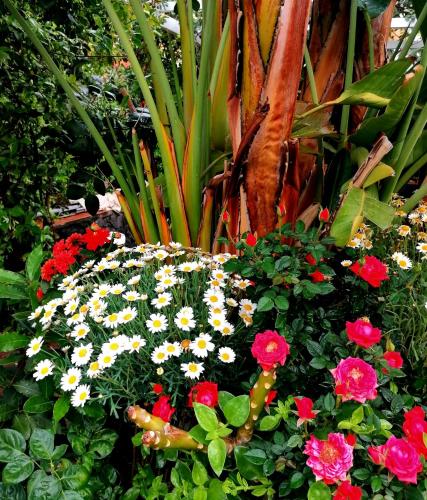 La Foresteria Garden Boutique B&B photo 48