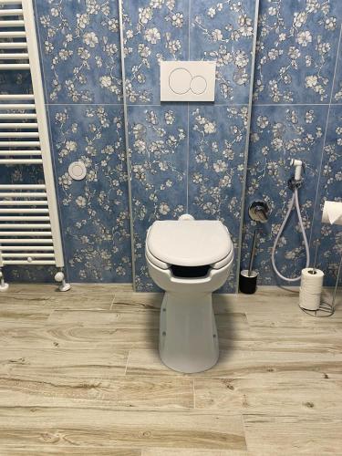 a bathroom with a toilet and a blue wall at Agriturismo i Merli in SantʼAmbrogio di Valpolicella