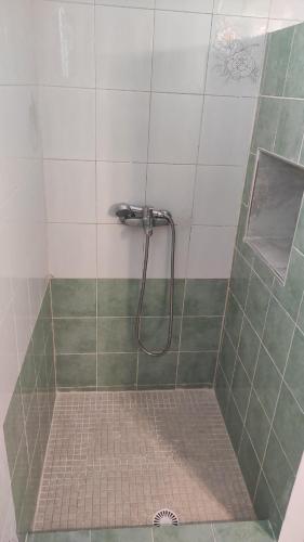 a shower with a shower head in a bathroom at Family House , Amazing Sea View in Kamarai