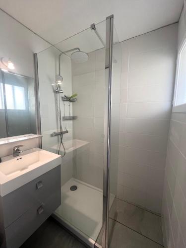 une salle de bain avec une douche en verre et un lavabo dans l'établissement Appartement T2 vue mer, à Porticcio