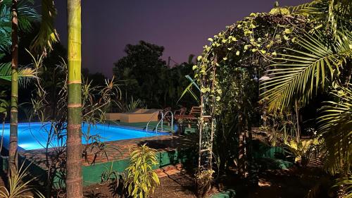 a swimming pool with a bunch of plants around it at Dew Ashi Homestay in Sigiriya