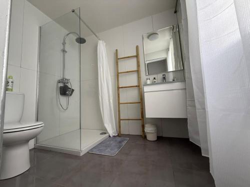 Koupelna v ubytování Appartement Tivoli Sur la route des rivières