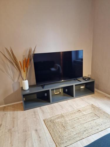 Haus Saarburg Innenstadt Bleser Appartementsにあるテレビまたはエンターテインメントセンター