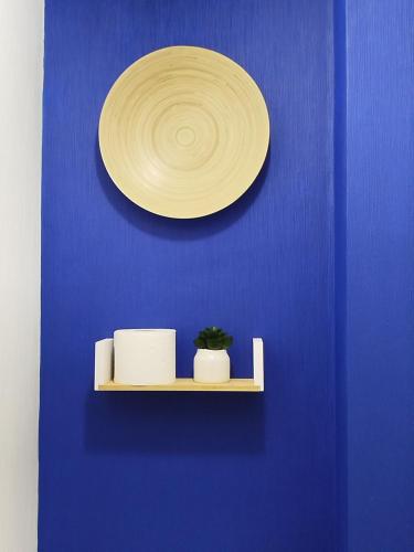 a plate on a blue wall with a shelf with a plant at Elena in Rivne