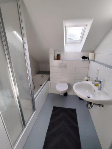 a bathroom with a toilet and a sink and a shower at Ferienwohnung Down Under am Bodensee in Uhldingen-Mühlhofen