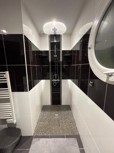 - une salle de bains en noir et blanc avec douche et miroir dans l'établissement Luxury spa house - healing, à Tarnès